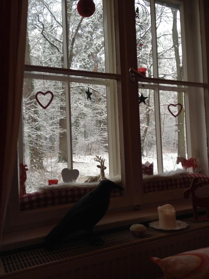 * Provisionsfrei * Gemütliche Doppelhaushälfte in der Waldsiedlung Krumme Lanke – Bild 13