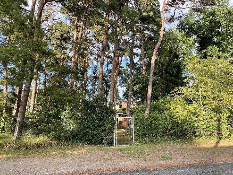 Baugrundstücke 722 qm im schönen Binz