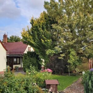 DHH im Süden der Kreisstadt