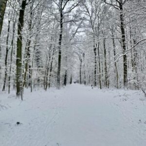 Top-Lage Hamburg-Wandsbek 706 m² flexibel nutzbare Gewerbefläche