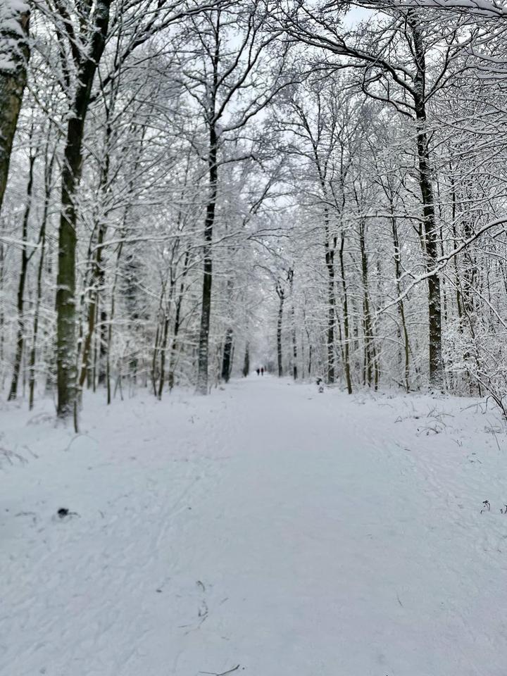 Top-Lage Hamburg-Wandsbek 706 m² flexibel nutzbare Gewerbefläche