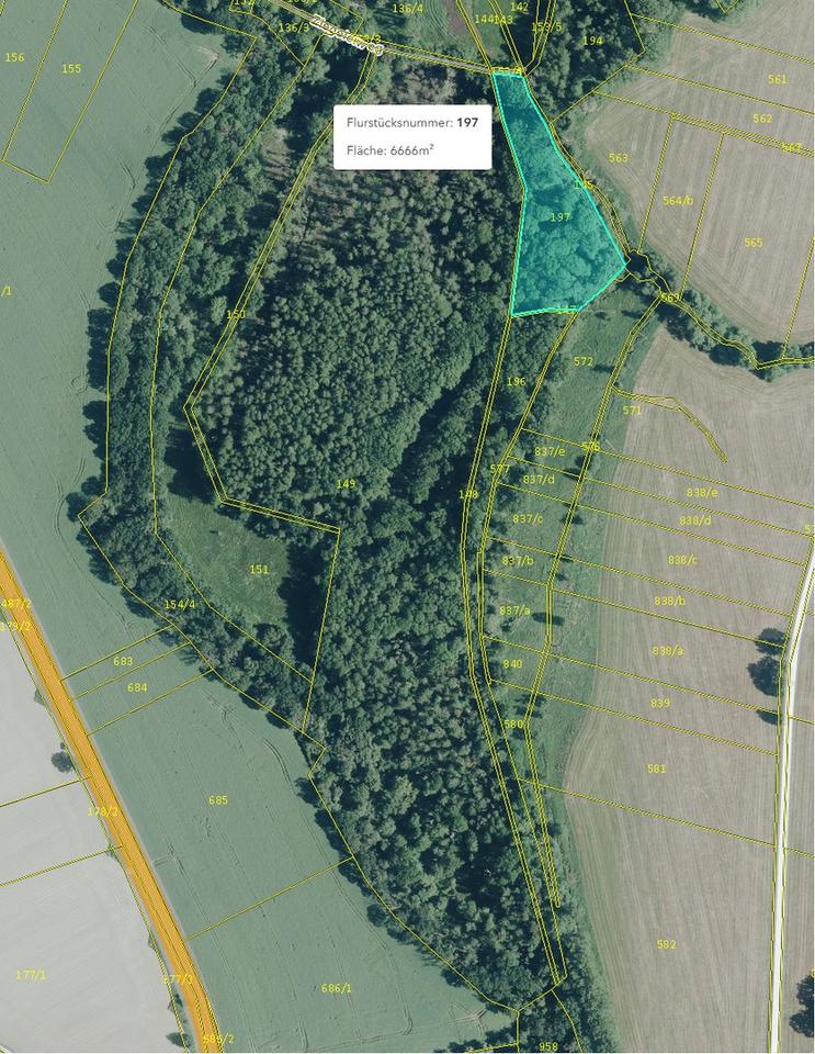 125.660 qm Waldgrundstück bei Leipzig / Wald - Forst - Privatwald - Waldfläche – Bild 10