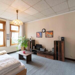 Teilmöbl. Whg im Herzen von Blankenburg