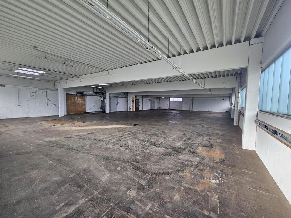 Lagerhalle mit Büro in Geislingen-Binsdorf zu vermieten, beheizbar, 511m², Lagerplatz, Gewerbehalle – Bild 3