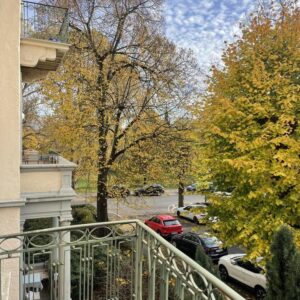 Bestlage Bad Nauheim: 1ZKBB am Kurpark, nach Süden, 40 qm, in Jugendstil-Baudenkmal