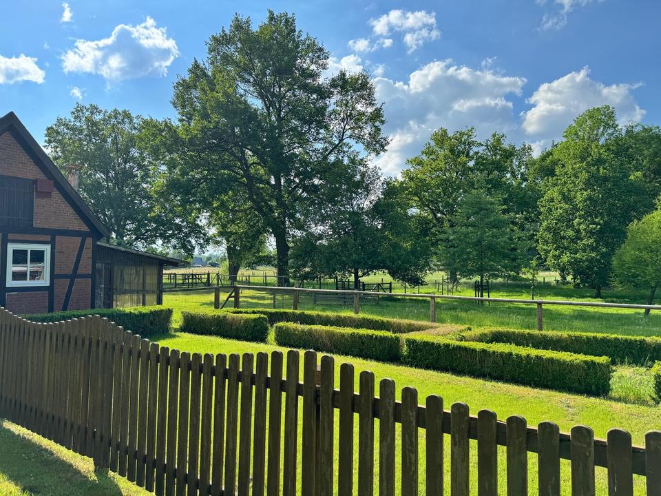Pferdegestüt und exkl. Anwesen 70 km südöstl. von Hamburg - optional bis 30 ha Zukauf möglich – Bild 18