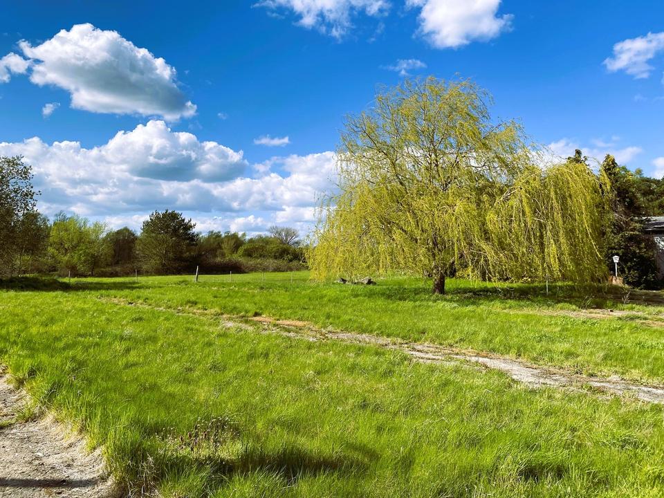 Bauen und Leben in Ostseenähe! – Bild 3