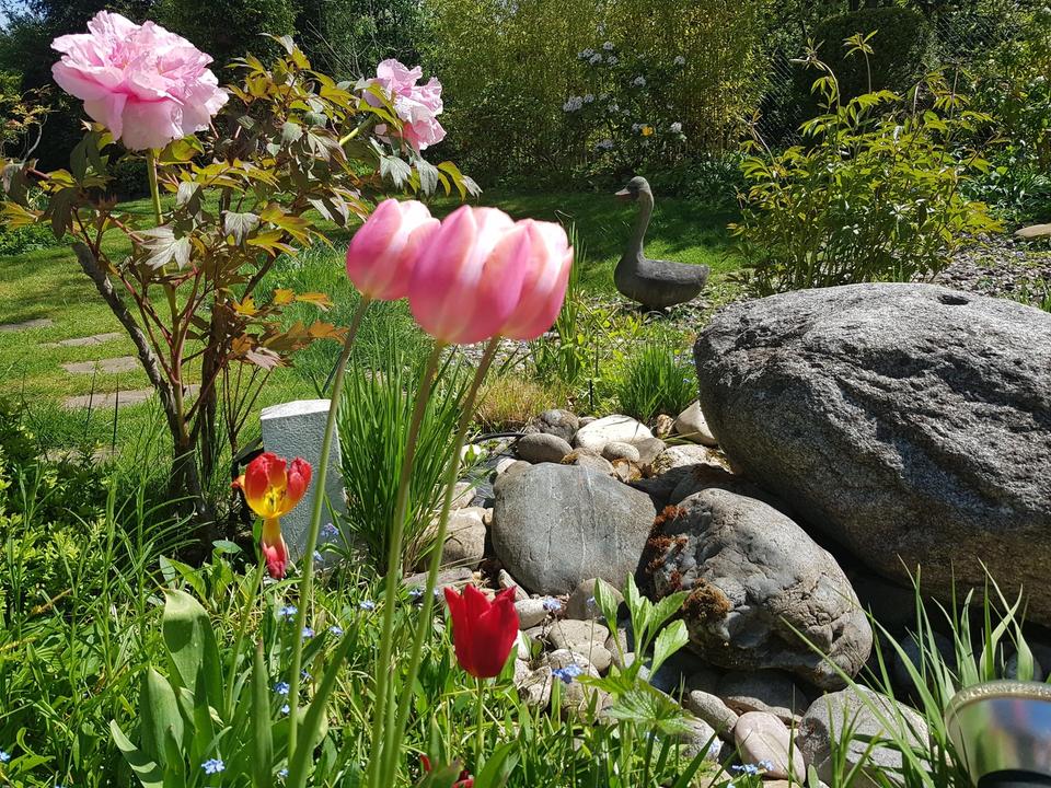 Großzügiges Haus in bester Wohnlage in Köln-Müngersdorf provisionfrei von Privat – Bild 8