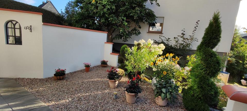 Mediterranes Flair in Winterberg am Hillebachsee PROVISIONSFREI!! – Bild 10