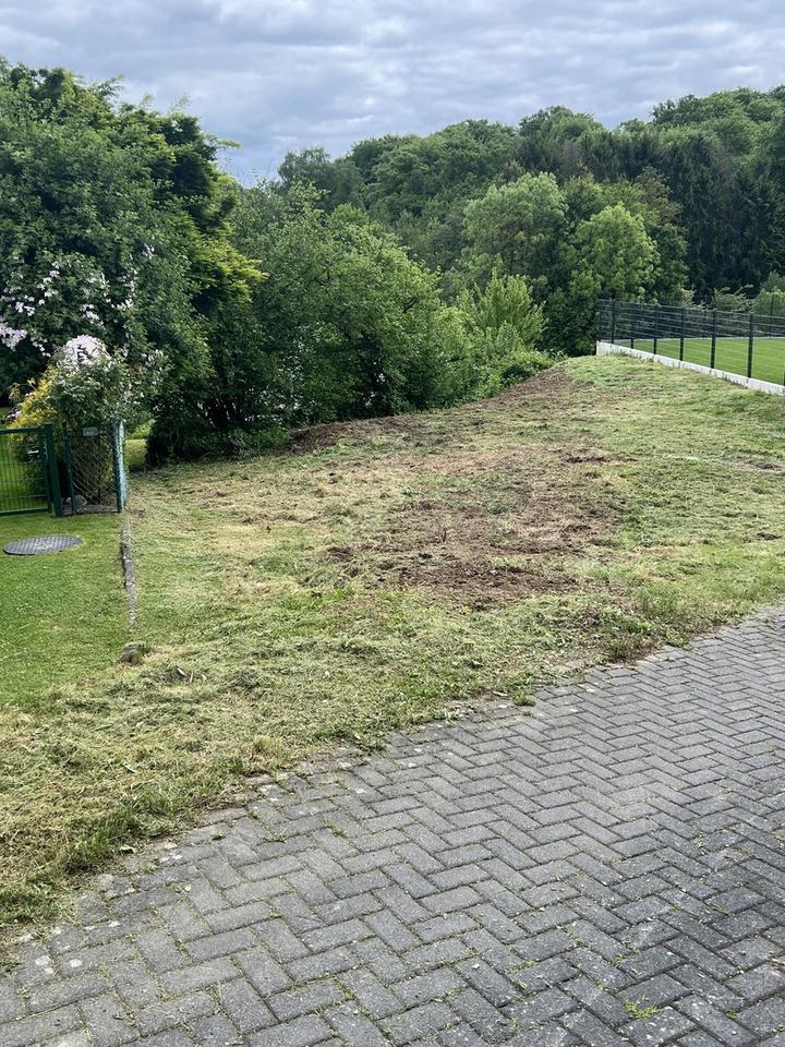 572 m² Sonnengrundstück in 53819 Neunkirchen-Seelscheid OT Seelscheid