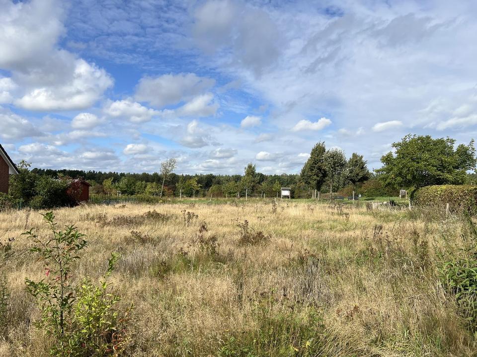 Baugrundstück in Reinbek-Ohe – ruhige Randlage mit Weitblick ins Grüne – Bild 3