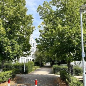 1-Zi Apartment am Herzzentrum, 5 min Völki - volle Ausstattung, barrierefrei, Paare Single