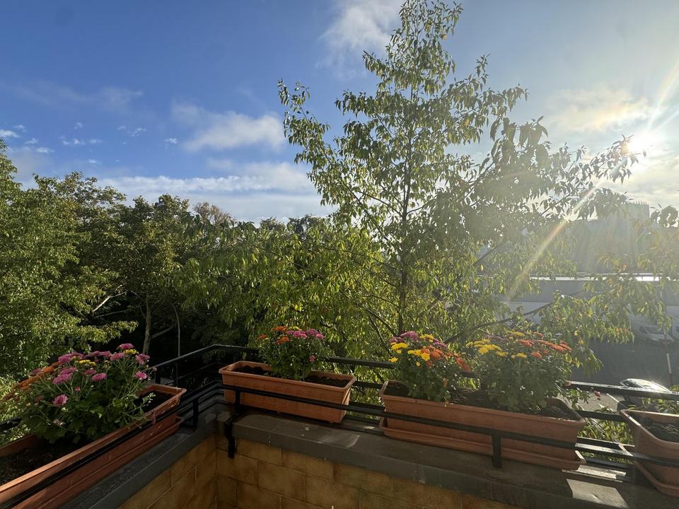 Provisionsfrei: Herrliche vermietete Altbau-Wohnung in Toplage keine Sperrfrist – Bild 9