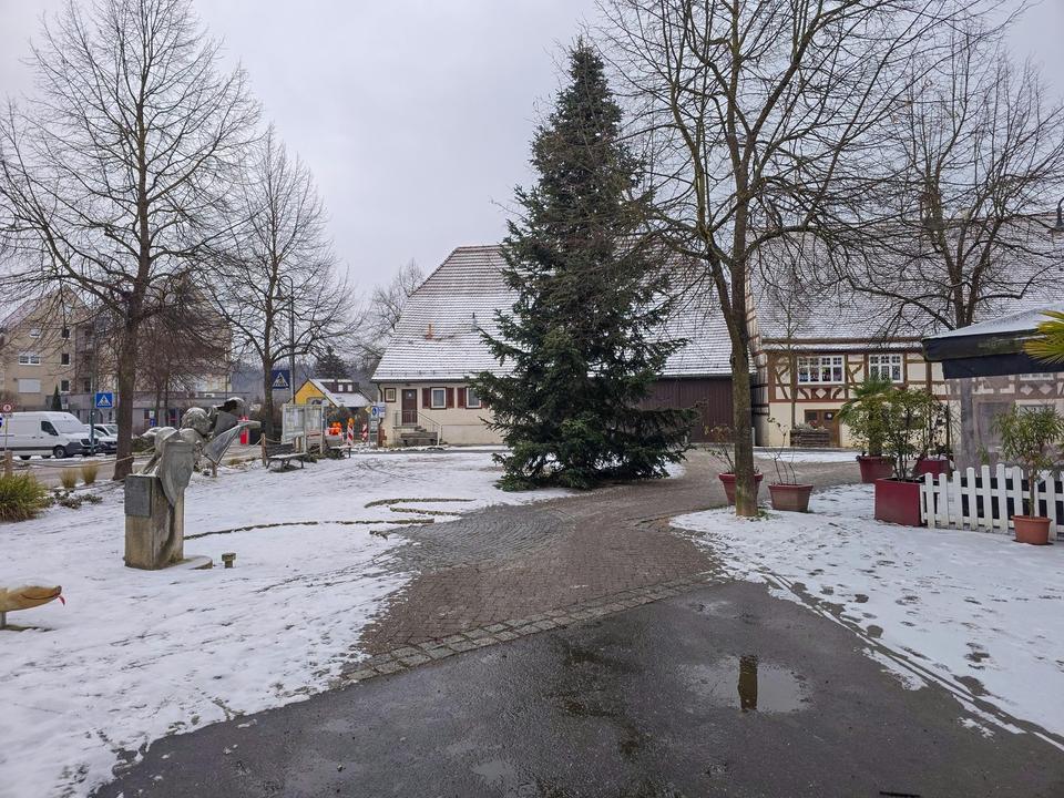 Zentrale Gewerbefläche ca. 50 m² | Büro – Praxis – Einzelhandel | provisionsfrei – Bild 13