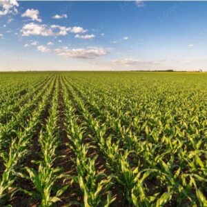 Ackerland • Photovoltaik • Verkauf • Pacht – Komplettangebot in attraktiver Lage