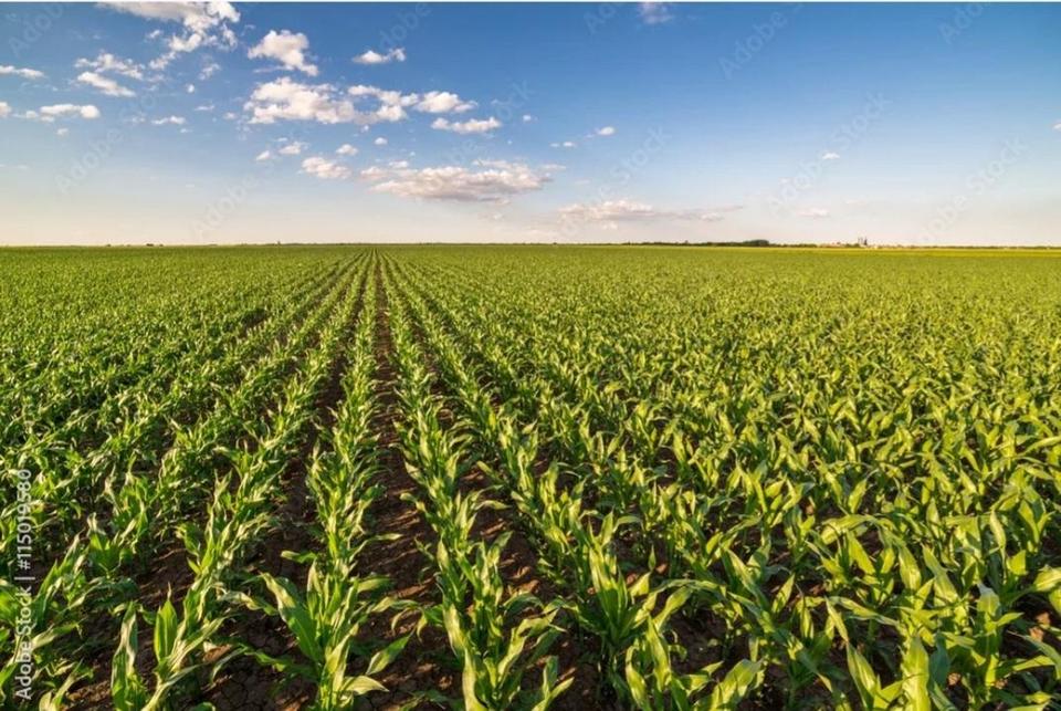 Ackerland • Photovoltaik • Verkauf • Pacht – Komplettangebot in attraktiver Lage