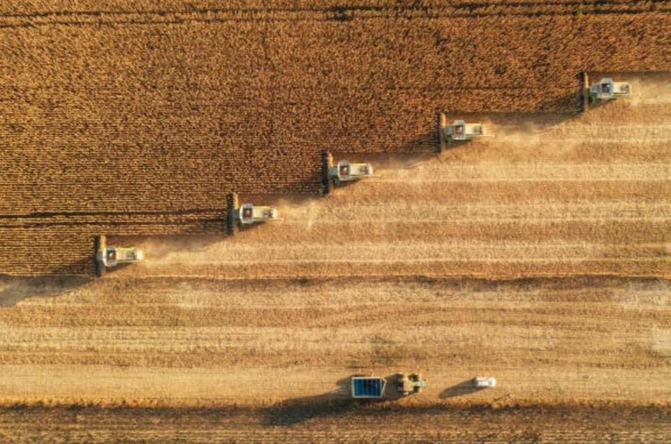 Ackerland • Photovoltaik • Verkauf • Pacht – Komplettangebot in attraktiver Lage – Bild 5