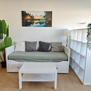 Sofort verfügbar: Sanierte, möblierte 1-Zimmer-Wohnung mit Balkon in Mannheimer Bestlage