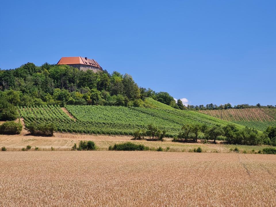 barrierefreie/energieeffiziente DHH - KfW 40 plus PROVISIONSFREI – Bild 21