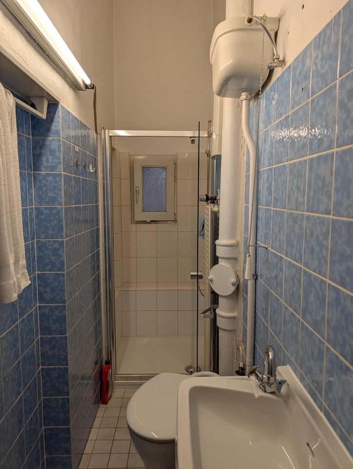 BS Innenstadtnah: 5-Zi. Altbau Wohnung im 1. OG von Privat: BLK, Stuck, Parkett, Garten – Bild 11