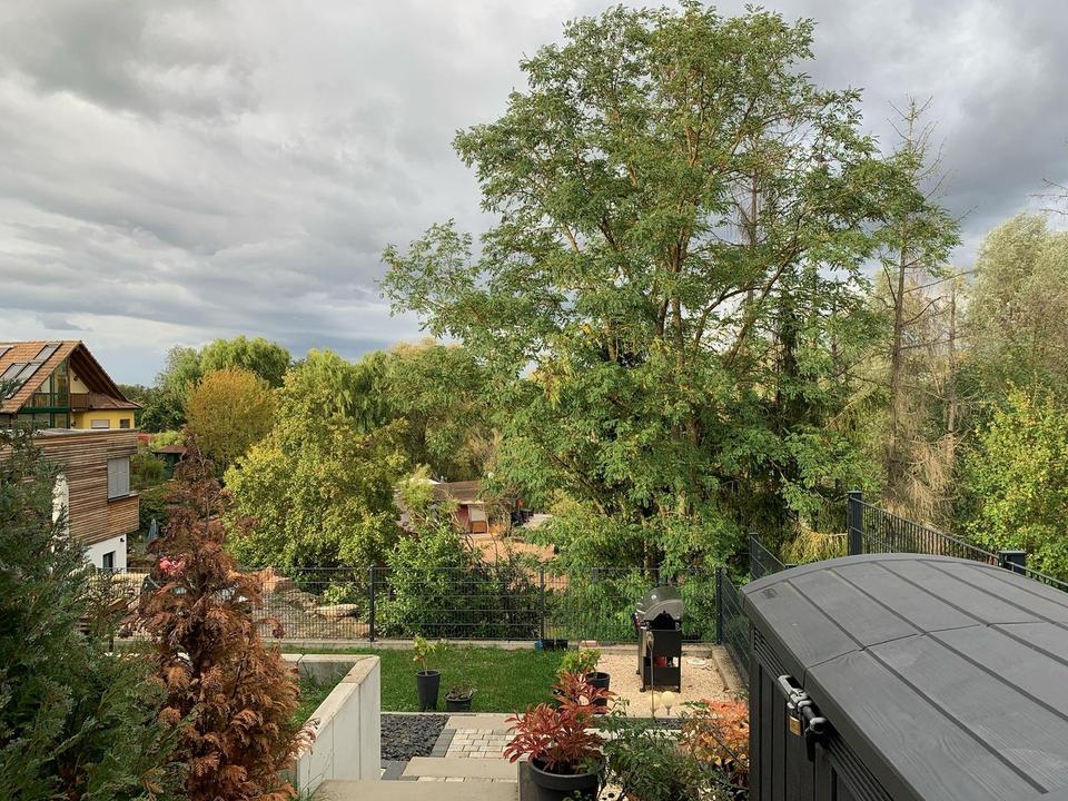 Wunderschönes 3 Familien Haus mit toller Aussicht in Elsenfeld! – Bild 24