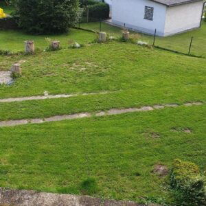 Sonniges Baugrundstück mit sehr guter Verkehrsanbindung und naher Kita in Konzenberg