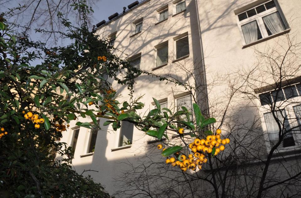 Teilbare Büro oder Praxisräume in zentraler Lage in Aue – Bild 4