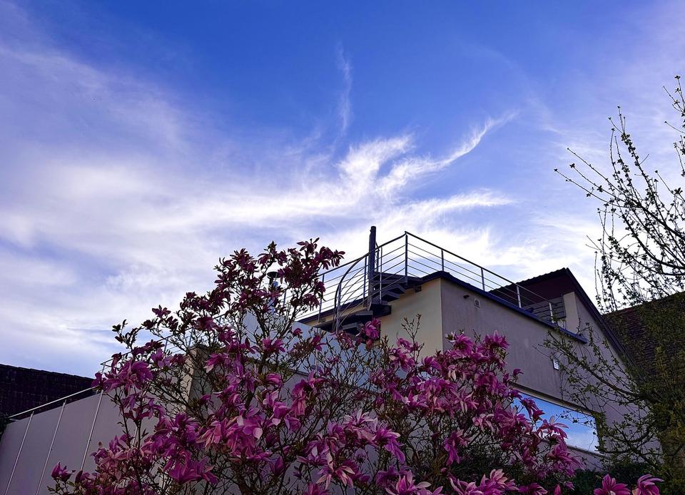 * Excl. Loft-Penthouse - EFH - Traumlage - große Terrassen - von privat - FR-Süd – Bild 2