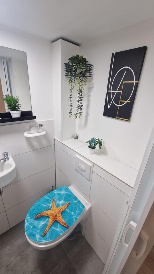 One Room Appartment with Toilette, Shower, Kitchen etc inside – Bild 4