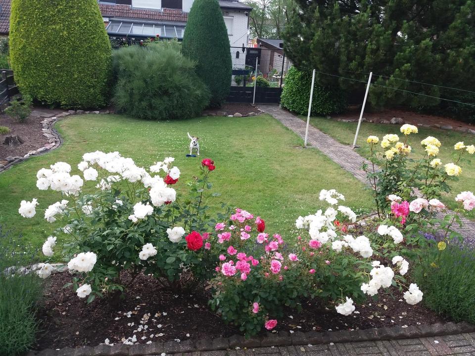 Schöne Doppelhaushälfte in Alsdorf – Bild 5