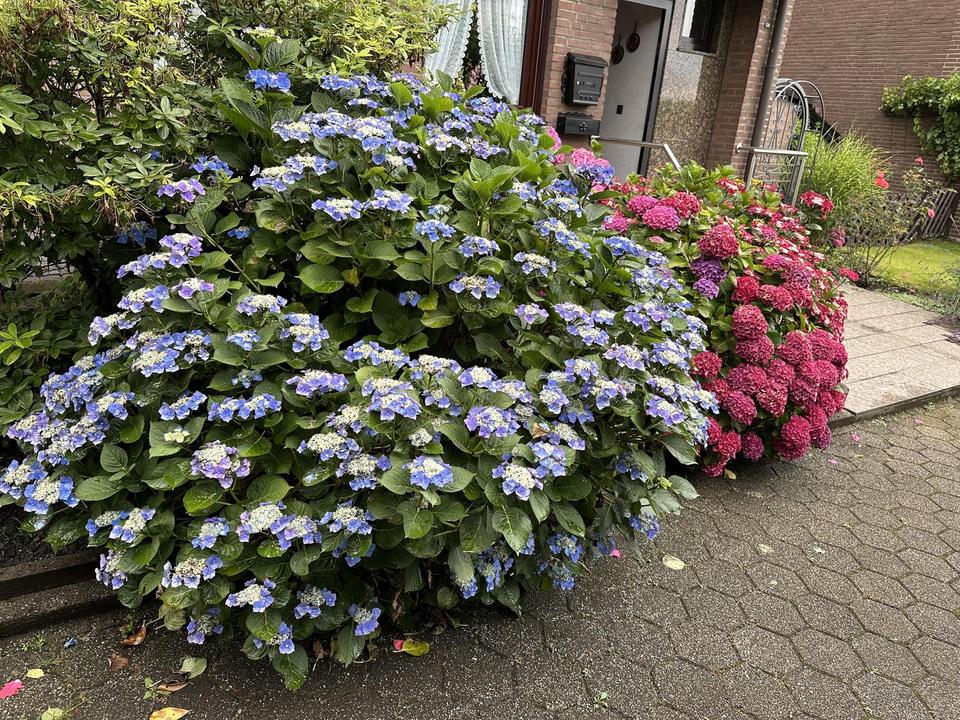 Ankommen. Wohlfühlen. Zuhause sein. – Reihenendhaus in Essen-Schonnebeck – Bild 24