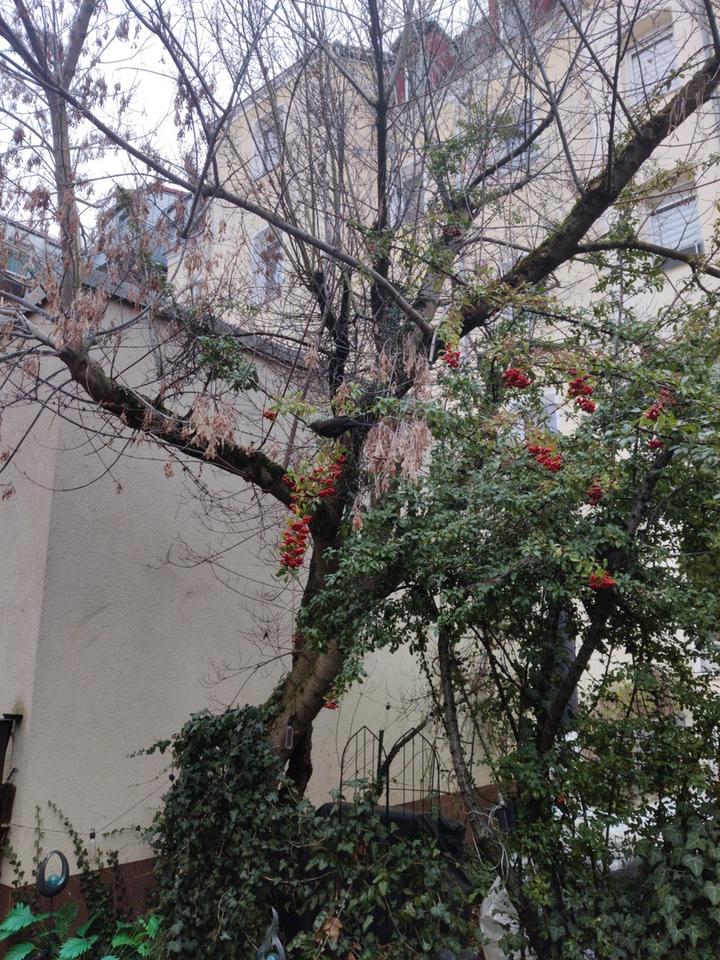 Gepflegte, gut geschnittene 2-Zimmer-Wohnung nähe Stadtpark – Bild 11