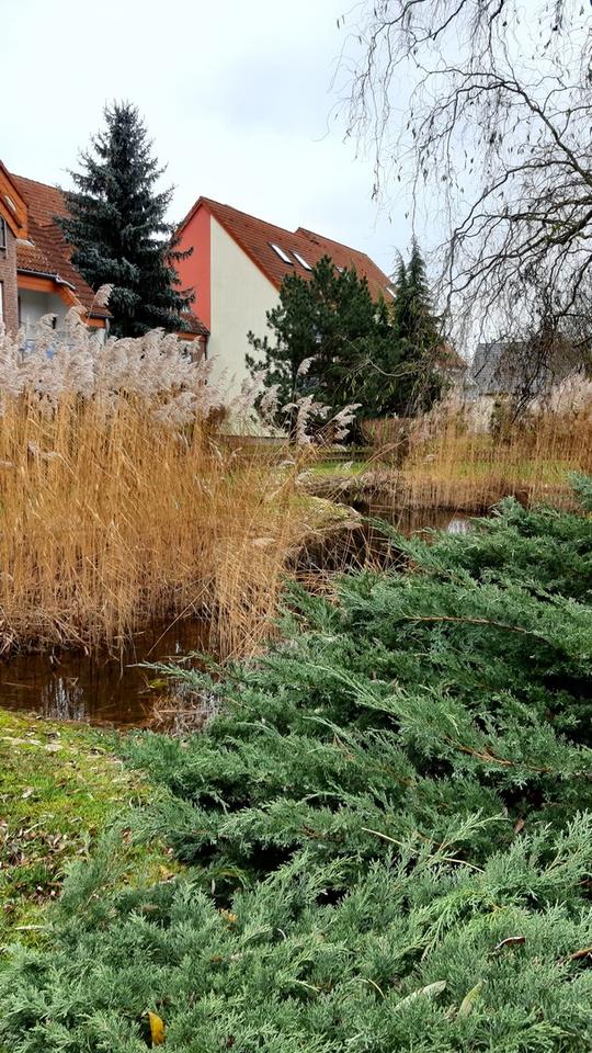 Schöne Maisonette-Wohnung im Grünen nahe Tesla – Bild 13