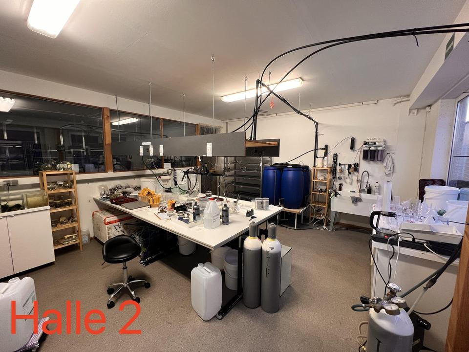 2 Gewerbehallen mit Büro- und Sozialflächen in verkehrsgünstiger Lage – Bild 7