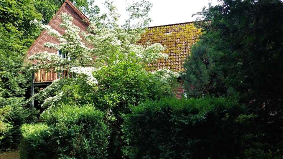 Anliegerwohnung mit Sonnenterasse – Bild 5