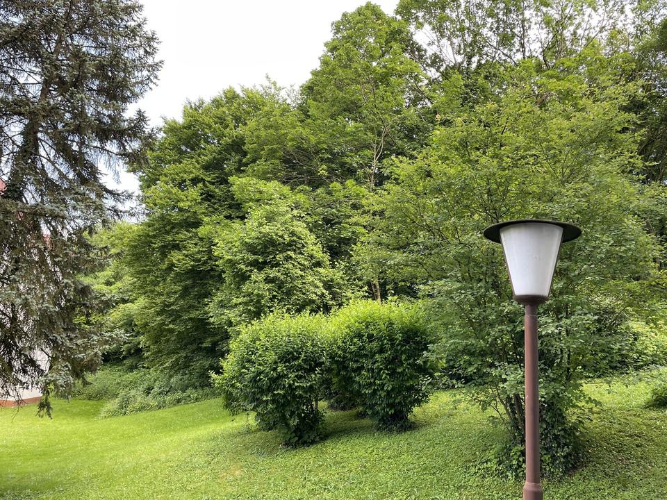 Stilvolle 2‑Zimmer‑Wohnung in Obrigheim – modernes Wohnen mit Wohlfühlfaktor – Bild 2