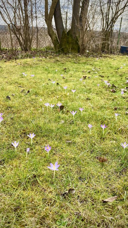 Nachhaltiges Architektenhaus im Grünen – Bild 18