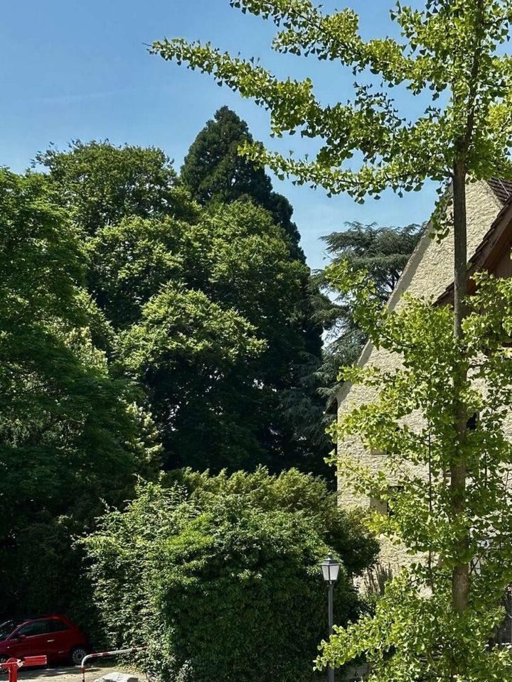 Kernsanierte Wohnung in bester Lage von Überlingen - Seenah, Barierefrei, Terrasse – Bild 9