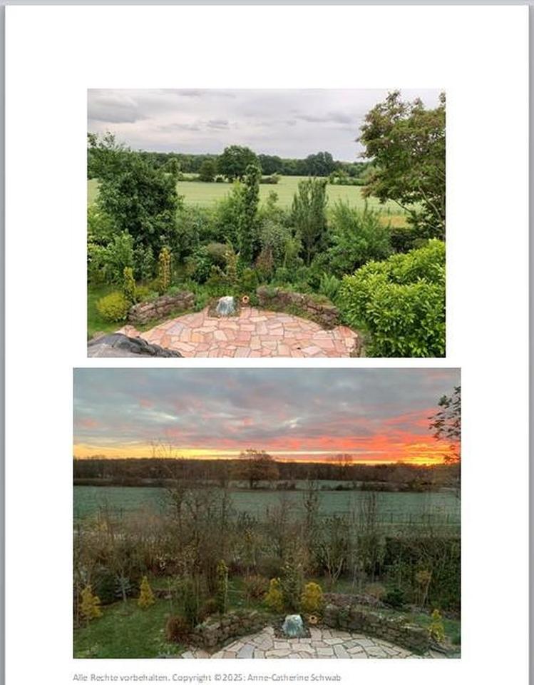 Neues Zuhause für eine große Familie – Bild 3