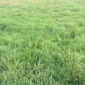 Wohnbauareale mit großem Potenzial – ca. 80.000 m² BGF, direkt vom Eigentümer