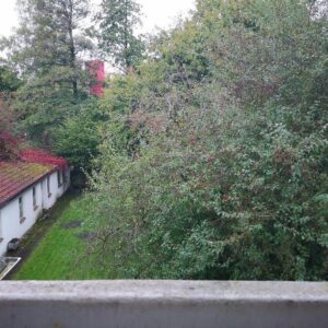 2Zi.-Wohnung in Findorff - Innsbruckerstr.