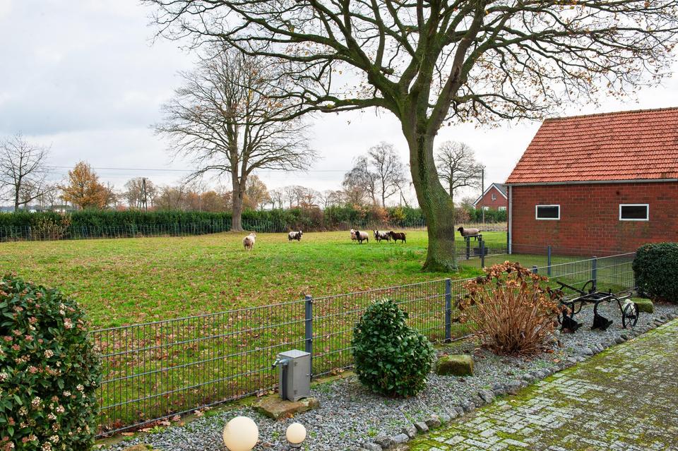 10 Hektar - Hofstelle in Alleinlage mit vielen Nutzungsmöglichkeiten – Bild 14