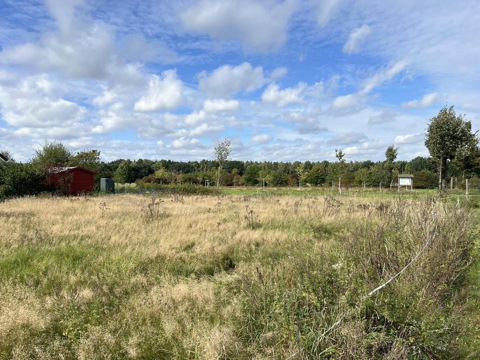 Baugrundstück in Reinbek-Ohe – ruhige Randlage mit Weitblick ins Grüne – Bild 2