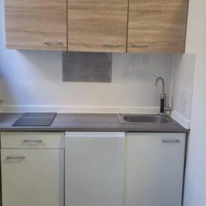 One Room Appartment with Toilette, Shower, Kitchen etc inside