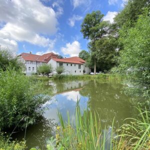 Helles 2-Zimmer Apartment mit einmaligem Ausblick in Braunschweig