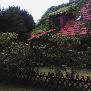 Provisionsfreies Zweifamilienhaus von privat – ein Zuhause für Familien & Naturliebhaber