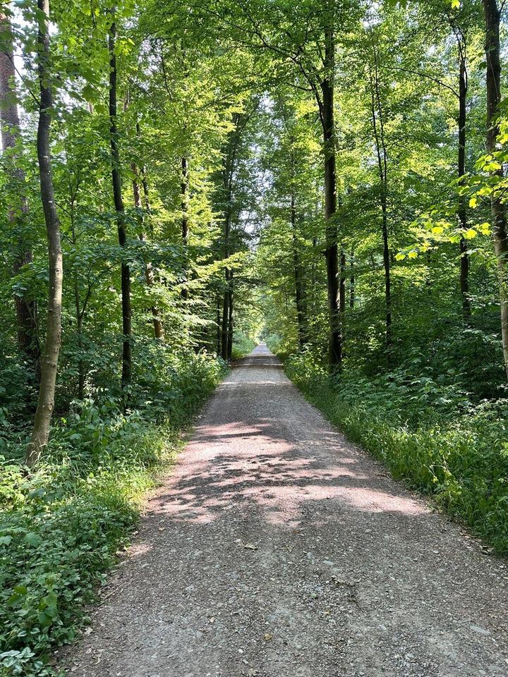 Ankommen, durchatmen, zuhause sein – Reihenendhaus mit Garten & Westausrichtung – Bild 31