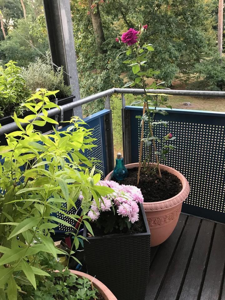 KA-Nordstadt 4 Zi.-ETW im 1. OG zu verkaufen – Bild 19