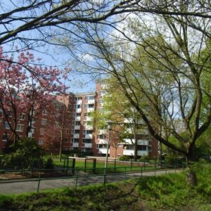 Tolle 2-Zi.-Wohnung - Sonne und Fernblick garantiert