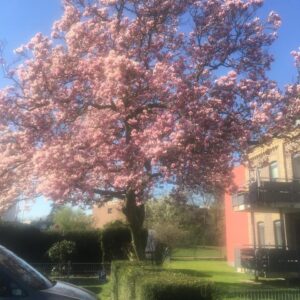 Altersgerechtes Wohnen im Herzen von Kaarst